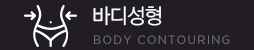 바디성형